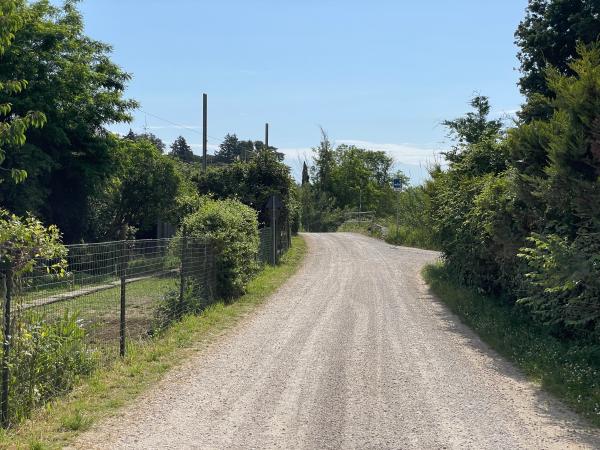 Dirt bicycle path between wire mesh fences, lined with private gardens and lush vegetation.